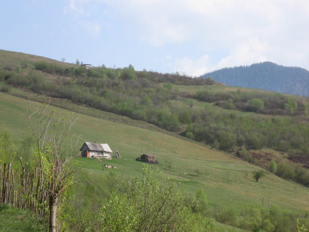 Пасовище