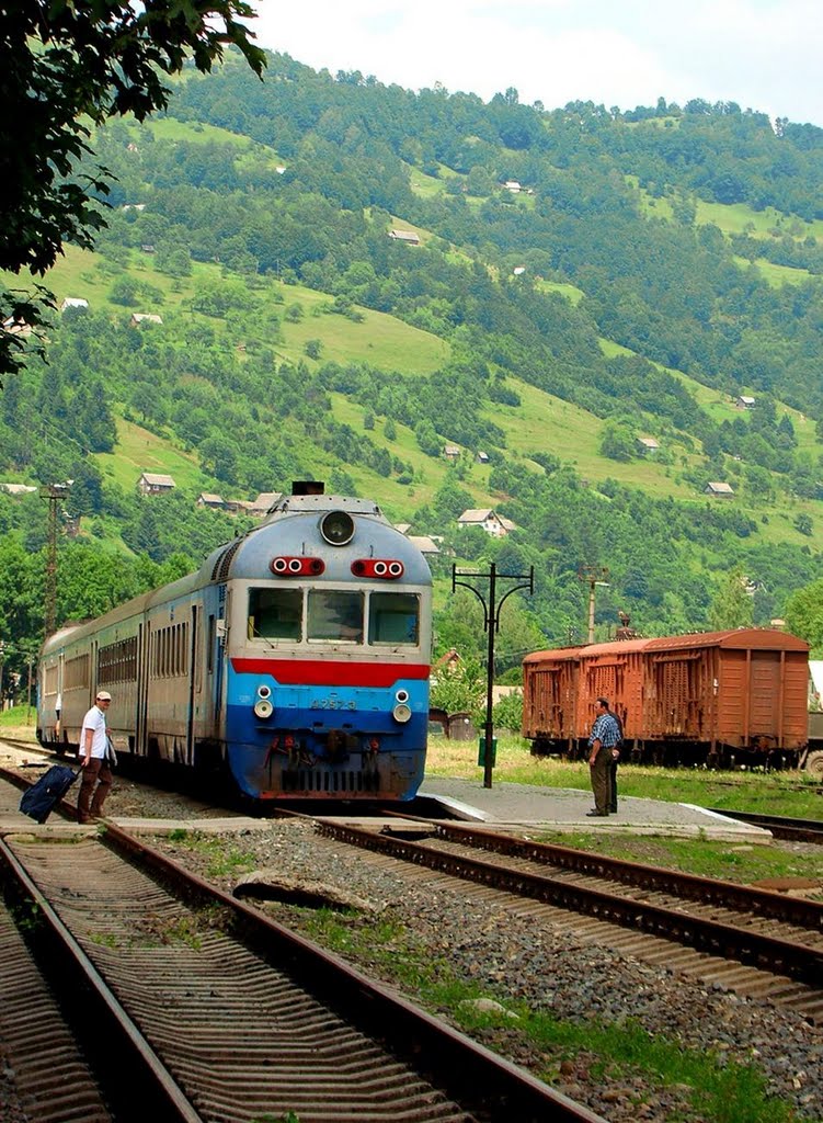 Valea Vișeului
