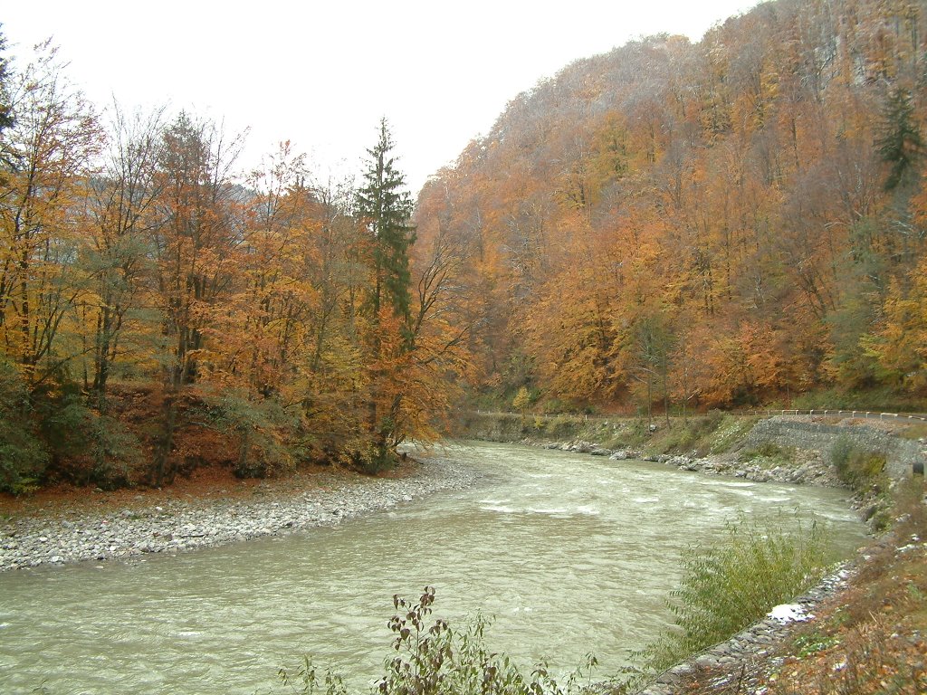 Tisza - by the geographical center of Europe