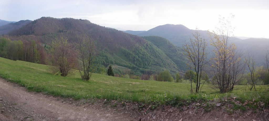 Гора Раховская