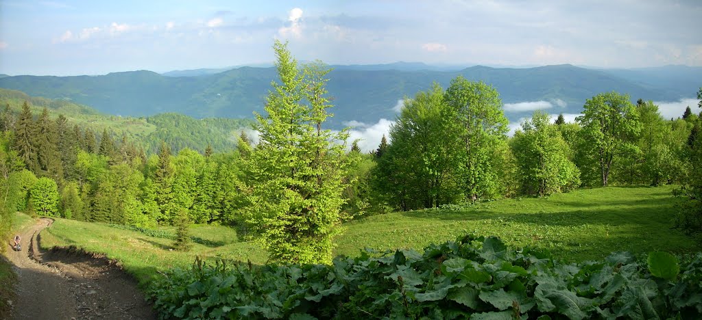 Закарпаття Рахів Marmaros Ukrainian Carpathians