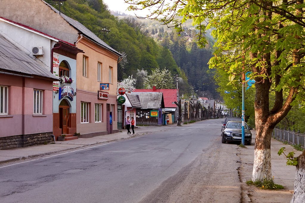 Дорога на Ясеня