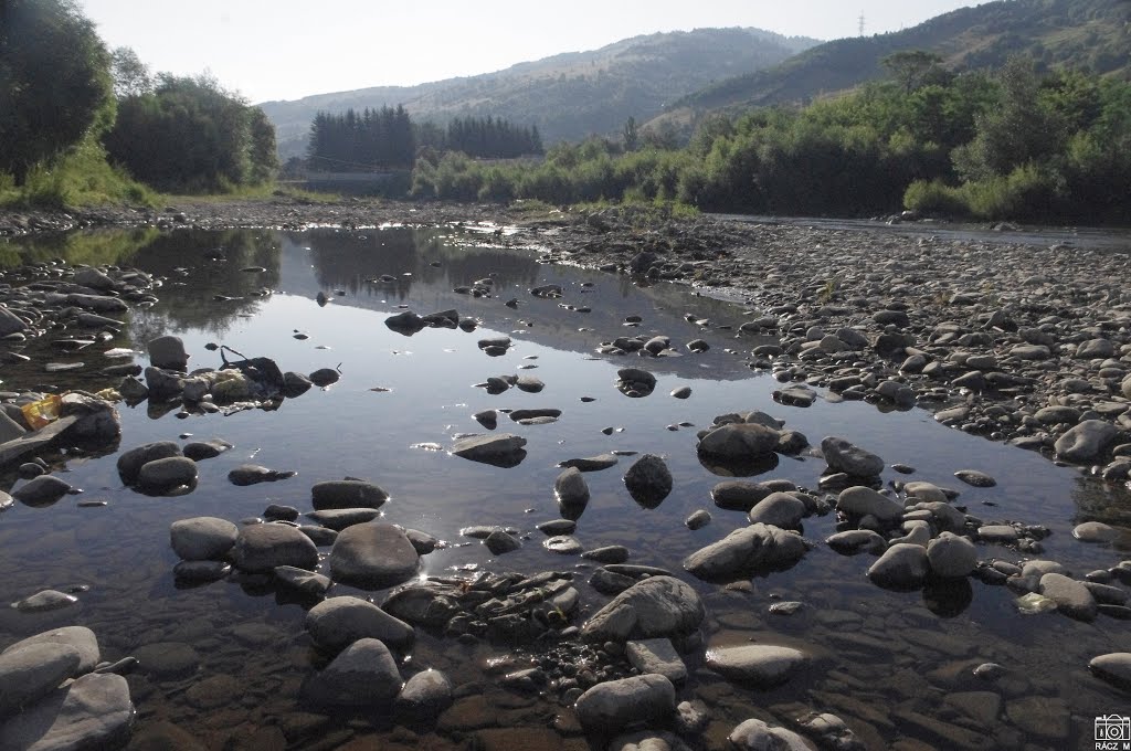 Rahó. A Tisza fenekén.