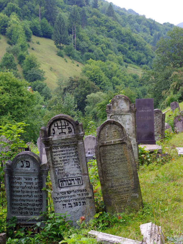 Rahó. Sírkövek a zsidó temetőben.