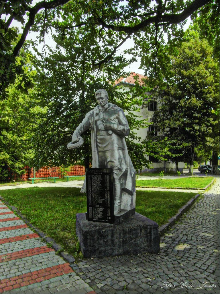 Памятник Свалявским жертвам павшим во второй мировой войне / Памятник Свалявським жертвам полеглим у другій світовій війні