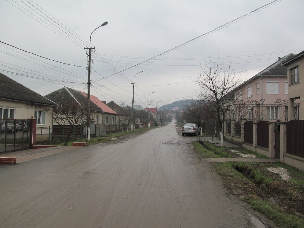 приватна забудова