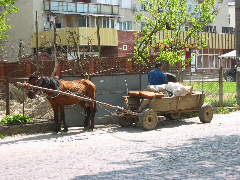 Свалява