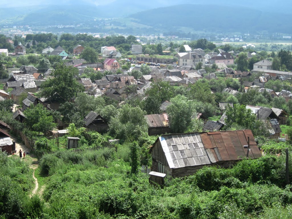 Svaliava