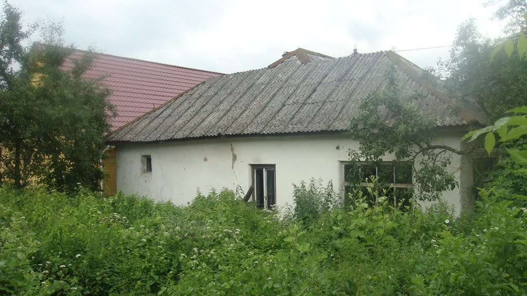my house