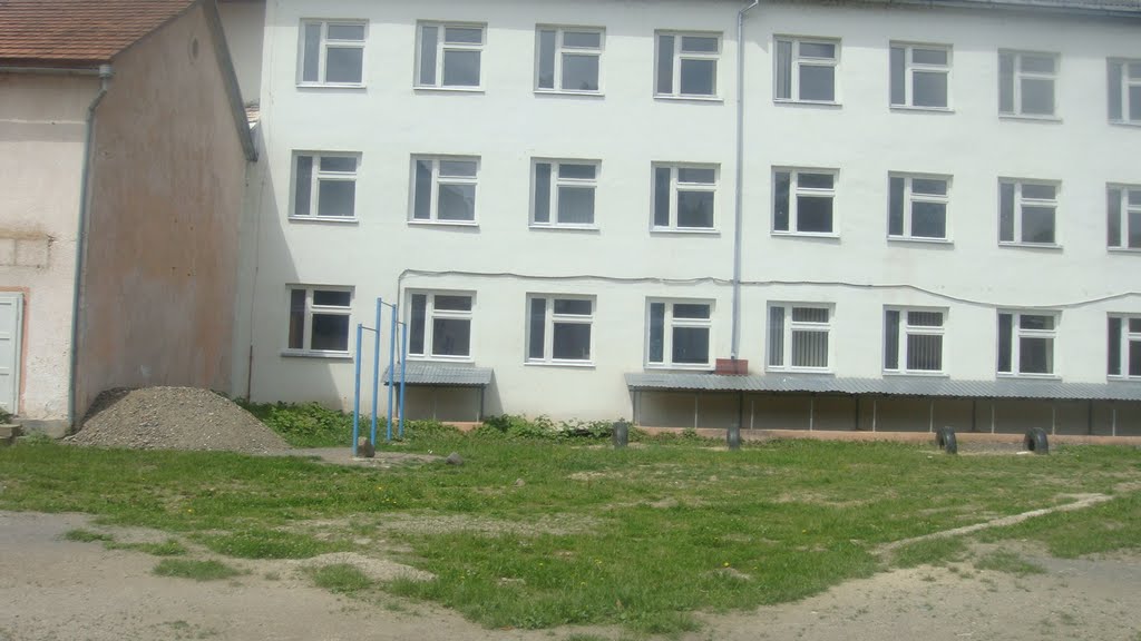 Svalyava school