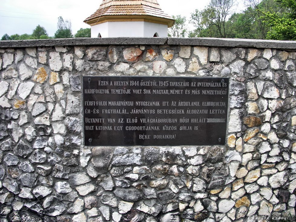 Szolyva