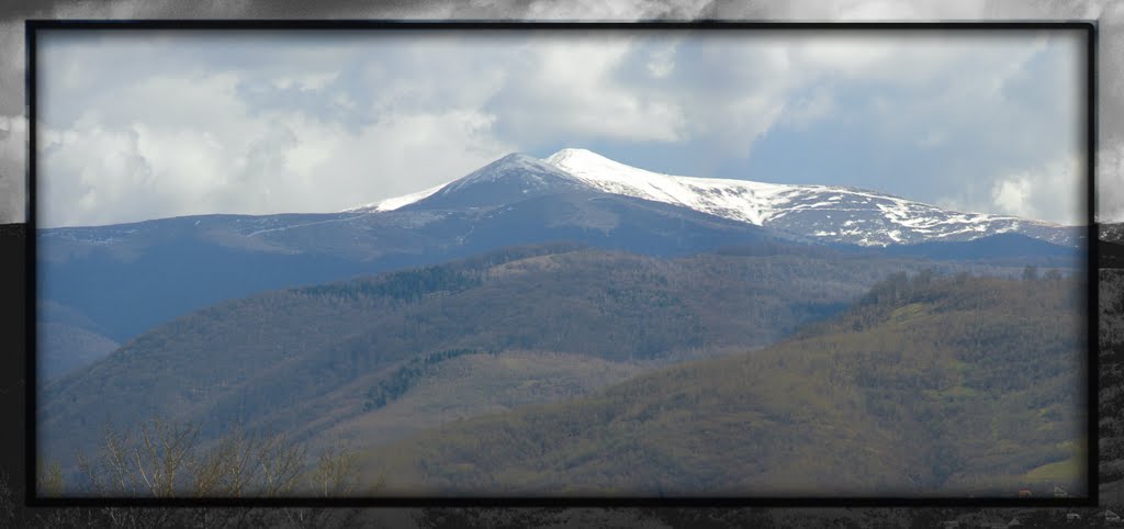 Полонина "СТОЙ" (view from Swaliawa)
