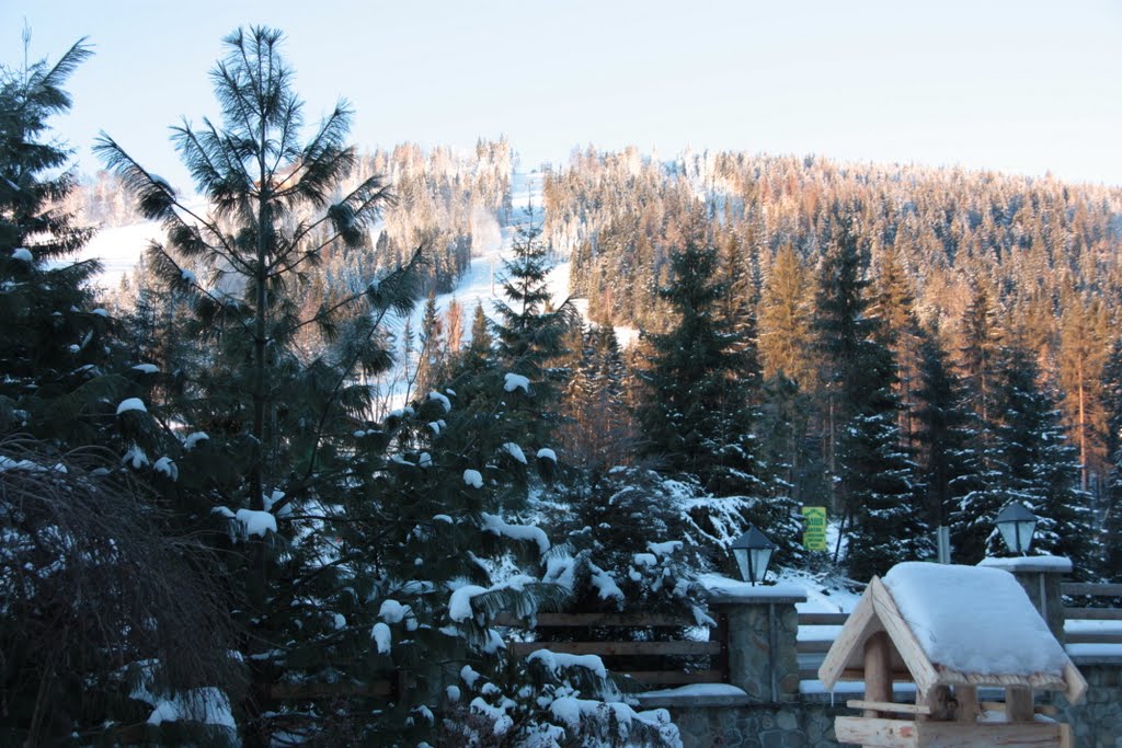 Ukraine, the Carpathians.