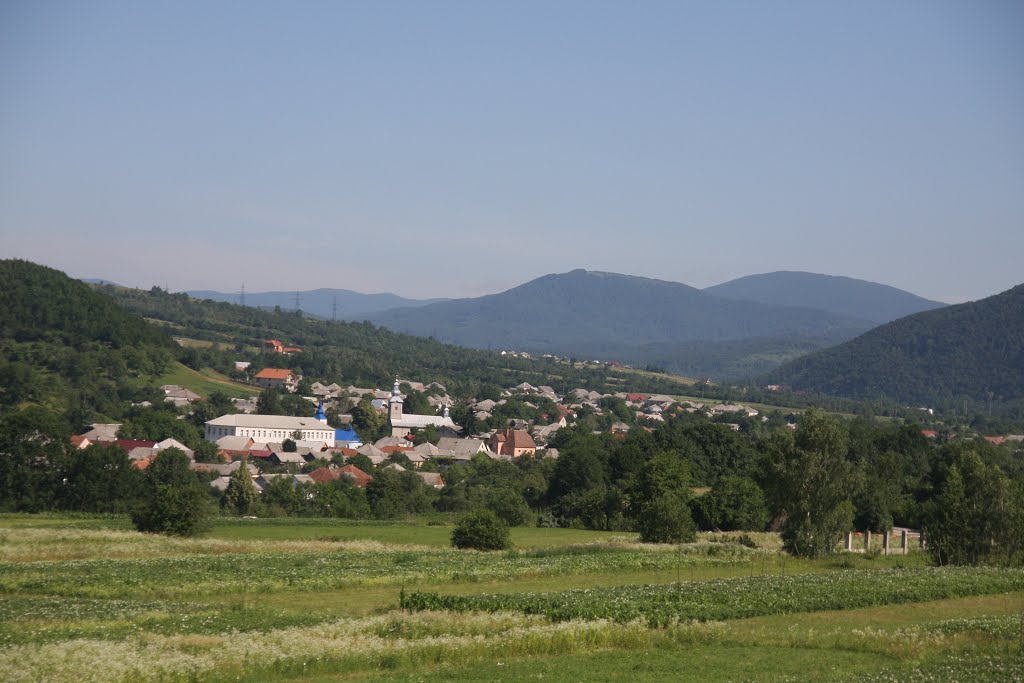 Голубиное