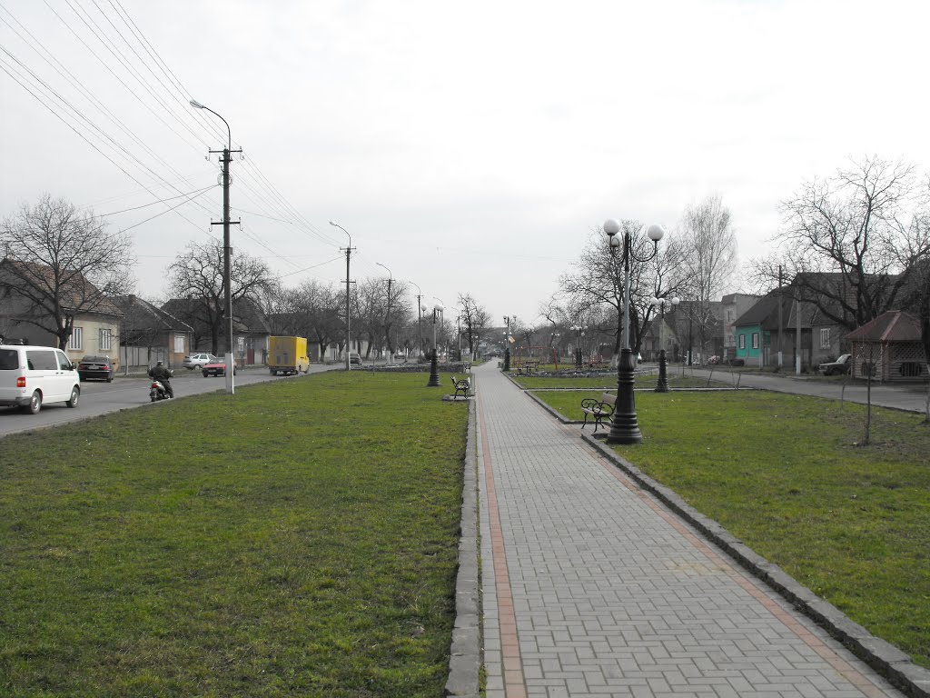 Парк, Тячів, 2014