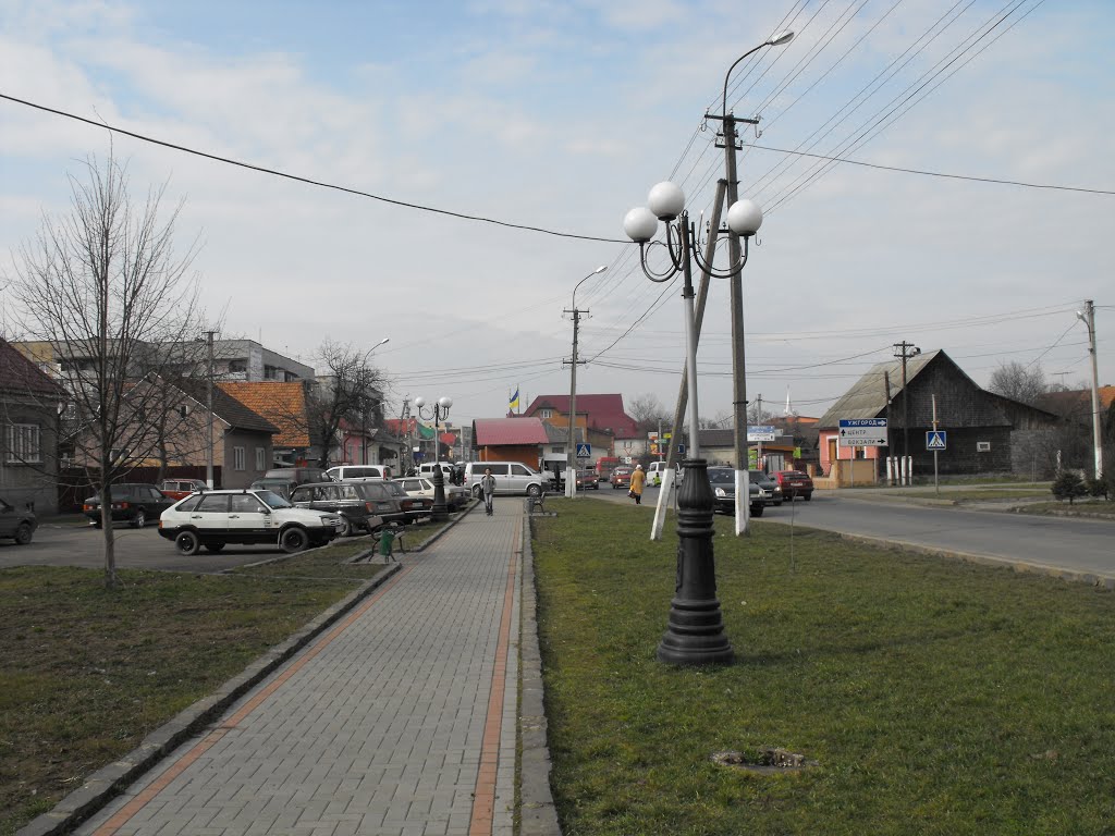 Парк, Тячів, 2014