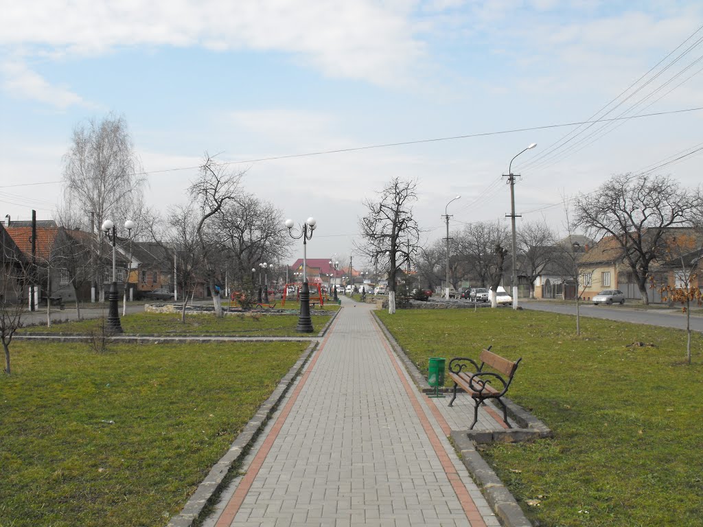 Парк, Тячів, 2014