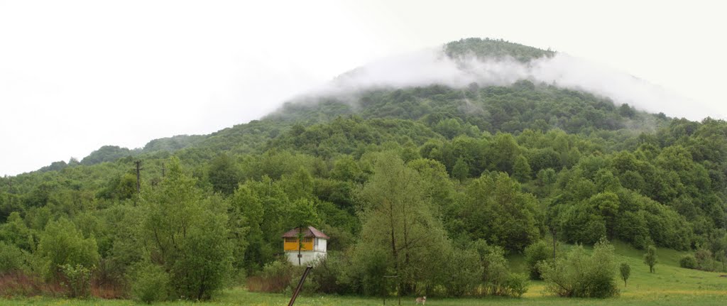 Nereszen