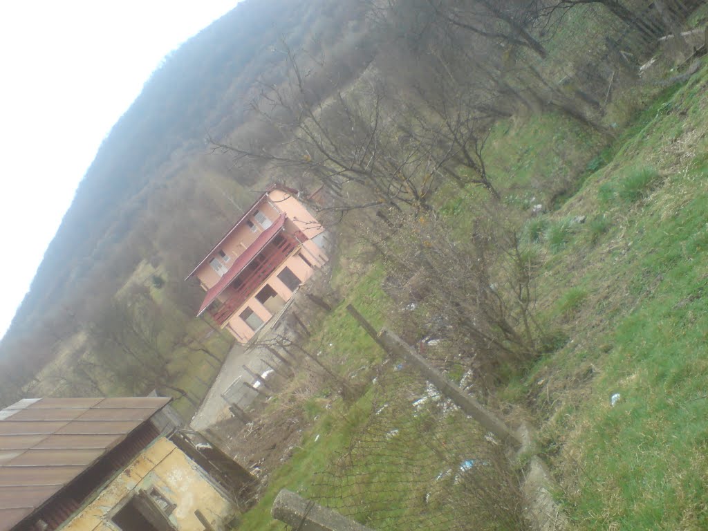 Ceva nou...