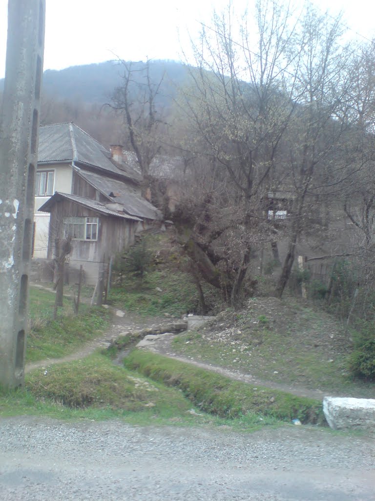 Izvor