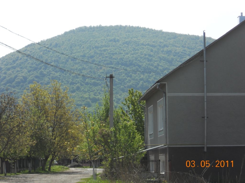 Neresen, Tyachiv