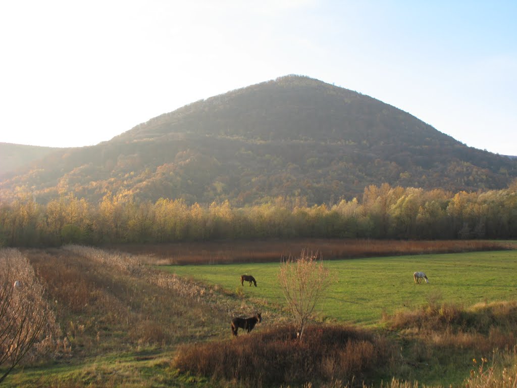 Romania/Румыния. Neresenul-Mare/Нересенул-Маре.