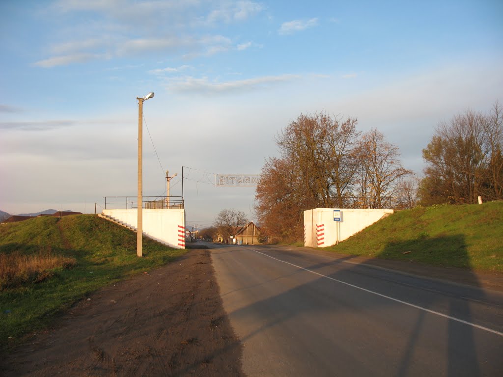 Ukraine/Украина. Gateway in a protective dike around Tyachiv/Шлюз в защитной дамбе вокруг Тячева