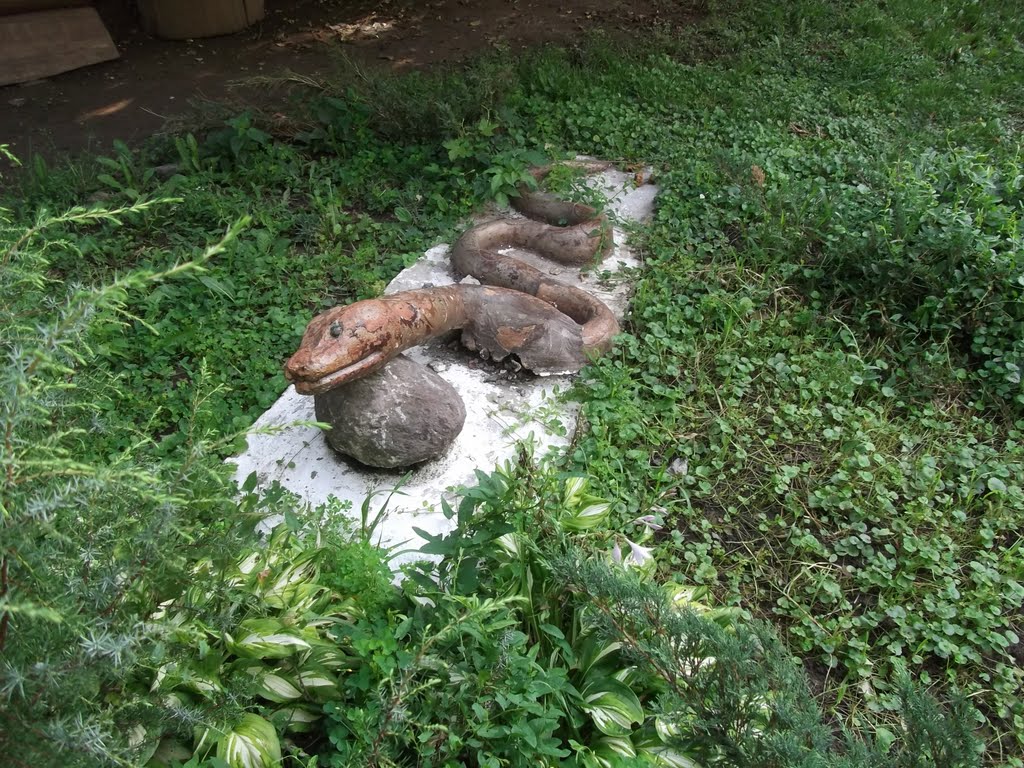 Символ медицины во дворе стоматологической поликлиники