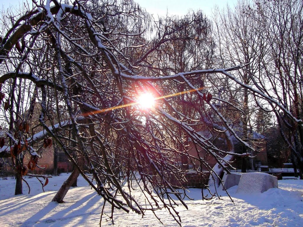 Зима пришла (21.01.2012)