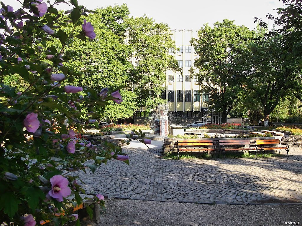 Сквер  /  Public garden