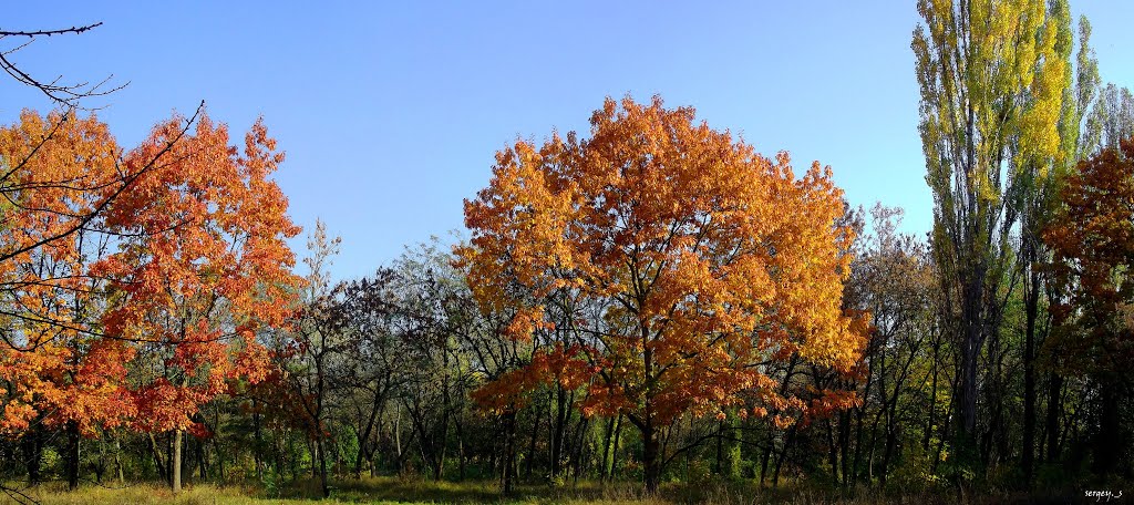 Панорама в парке