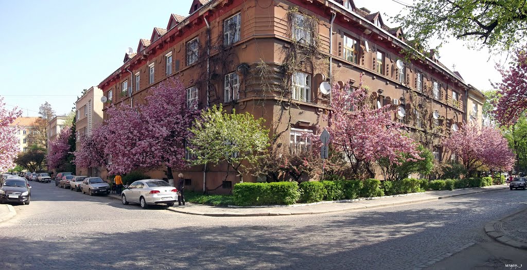 Панорама с улицы Довженко