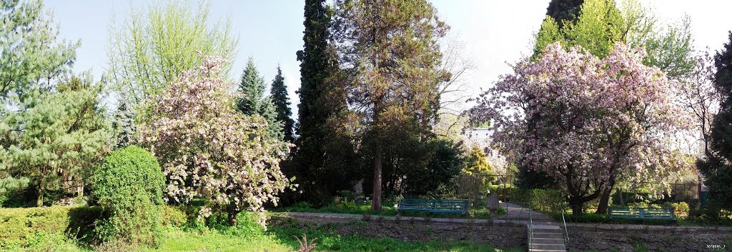 Ботанический сад