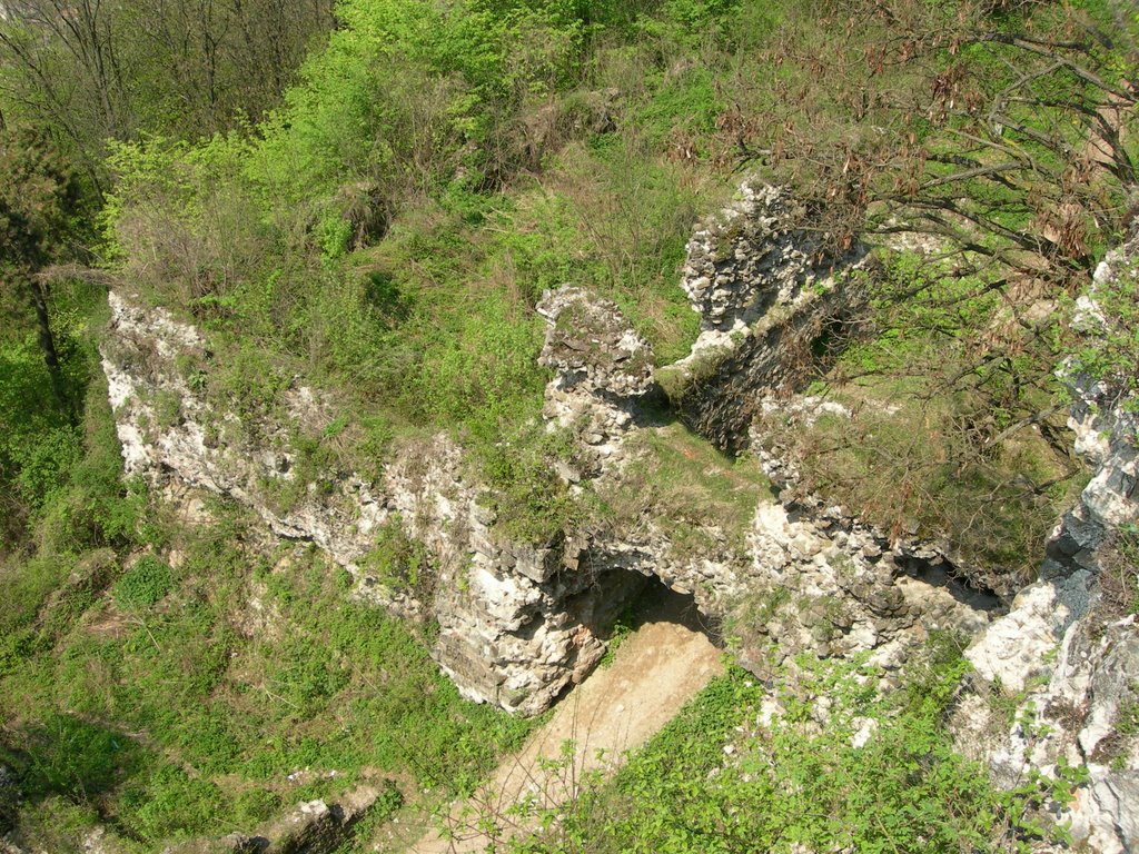 DSCN0264