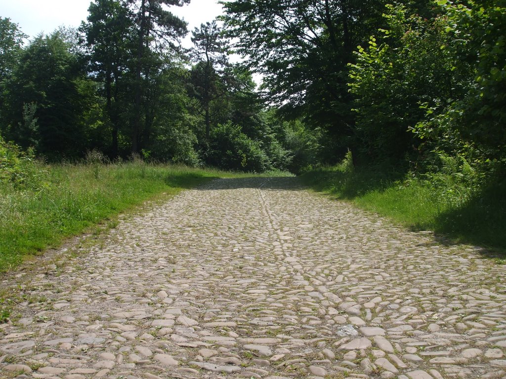 út a huszti romokhoz
