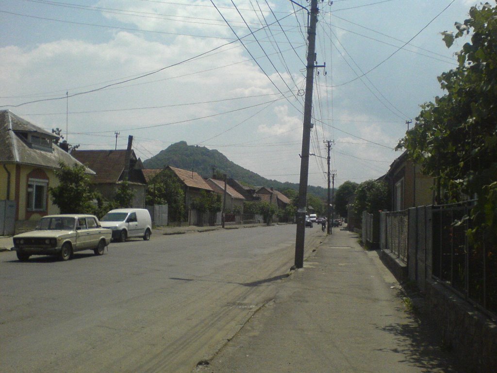Lvivska street