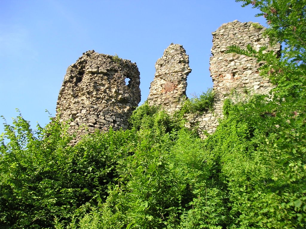 Huszt romjai