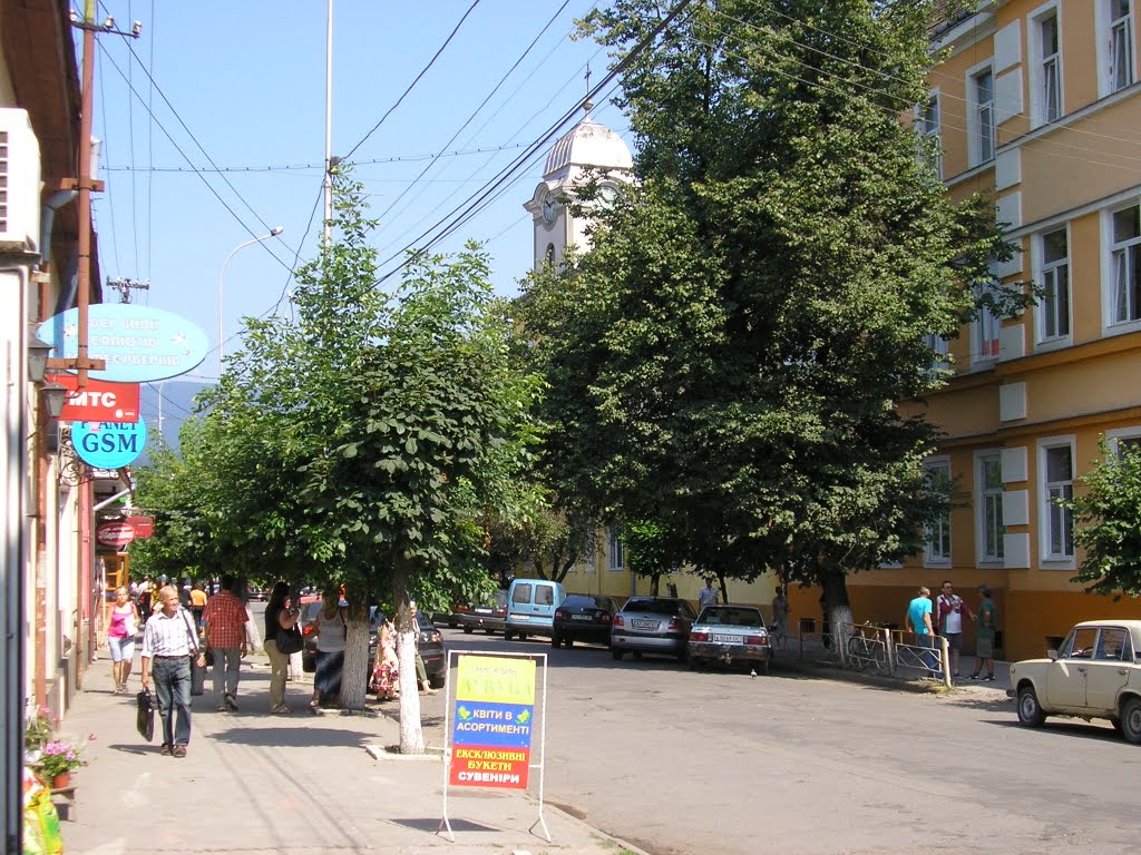 Хуст, Закарпатье, 2010