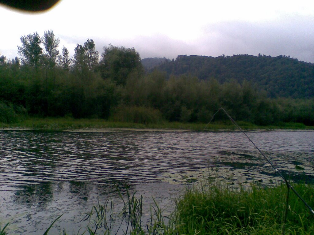 Старое русло р.Тисса