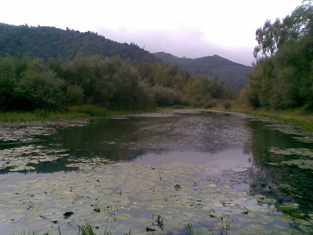 Старое русло р.Тисса