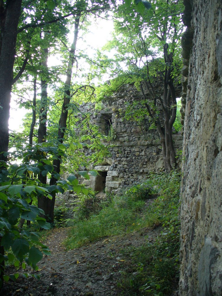 Замкові стіни