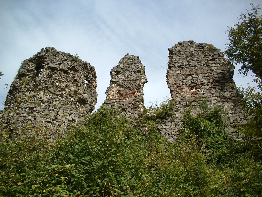 Huszt vára