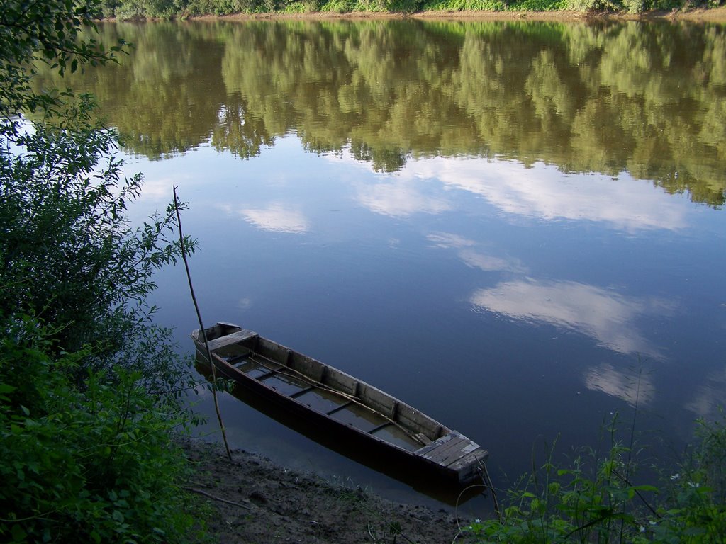 Tisza