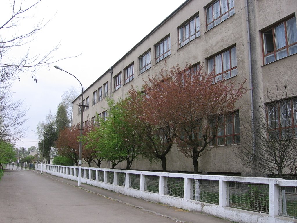 Ukrainian School