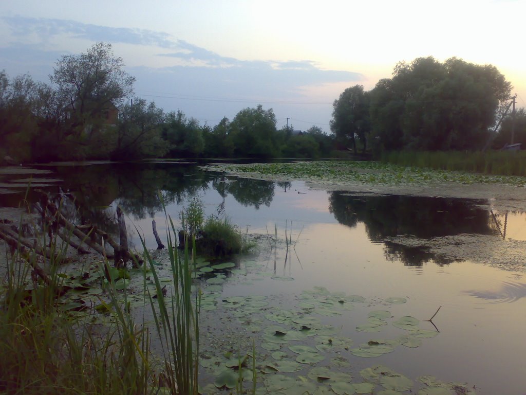 Korovnyik este