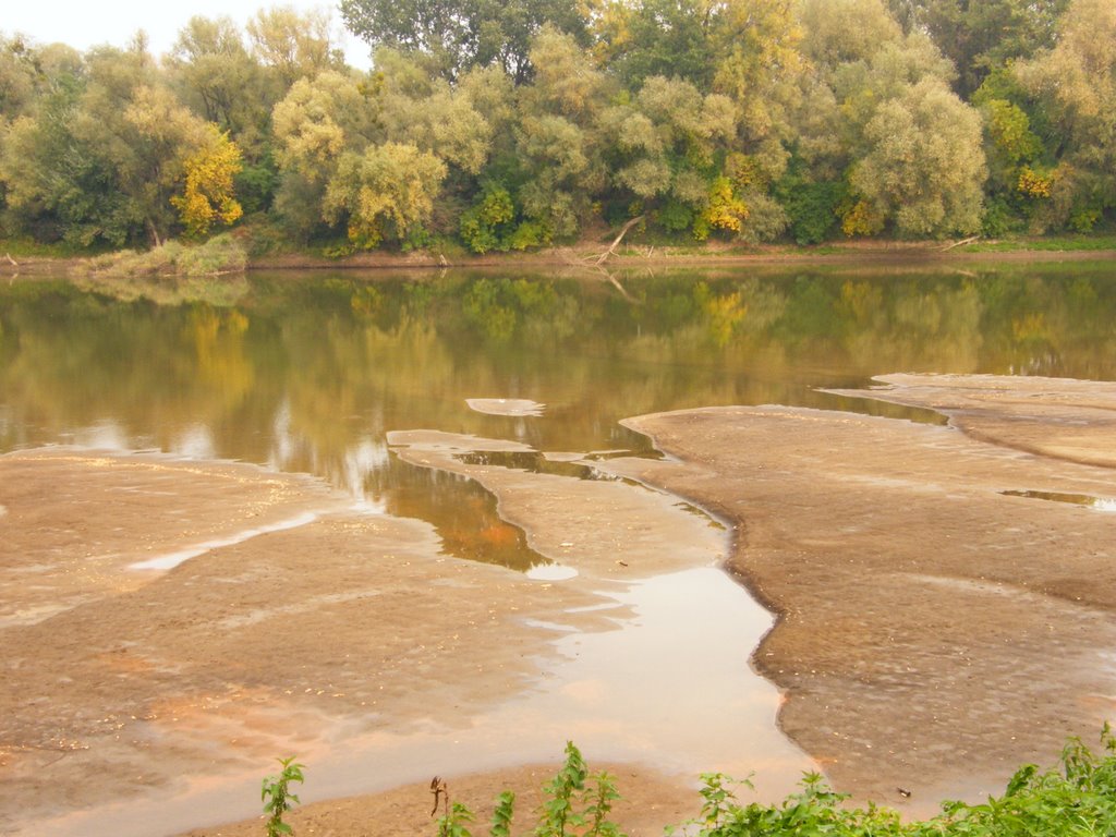 Tisza