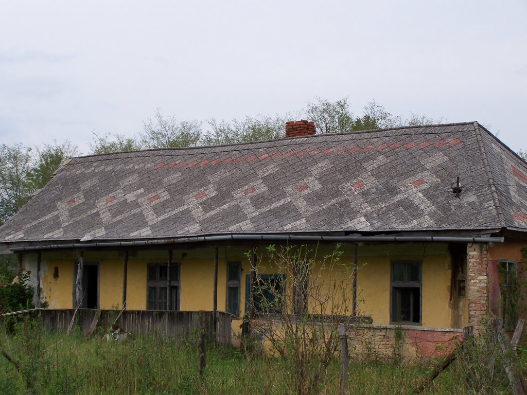 Háztetők 4