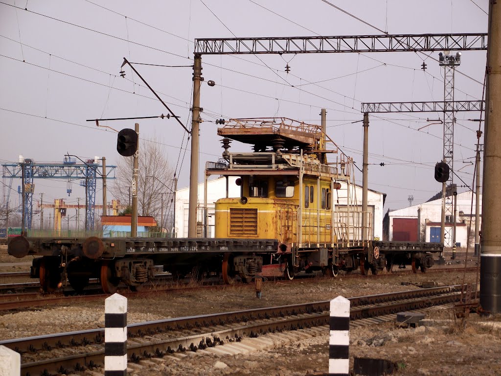 crane-2