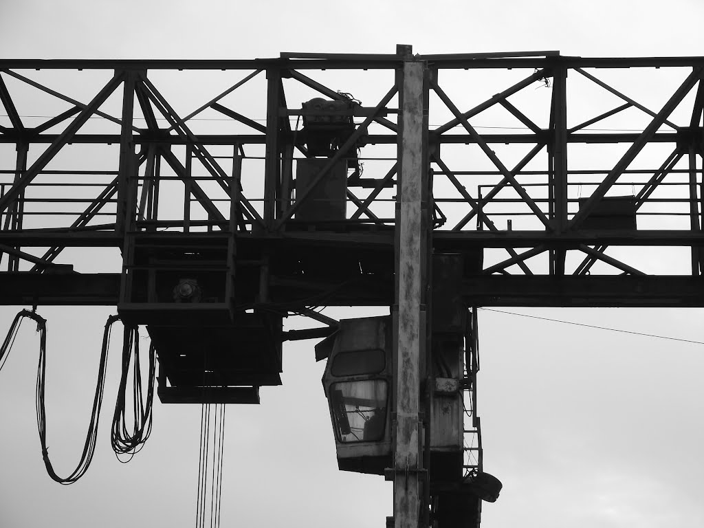 crane-3