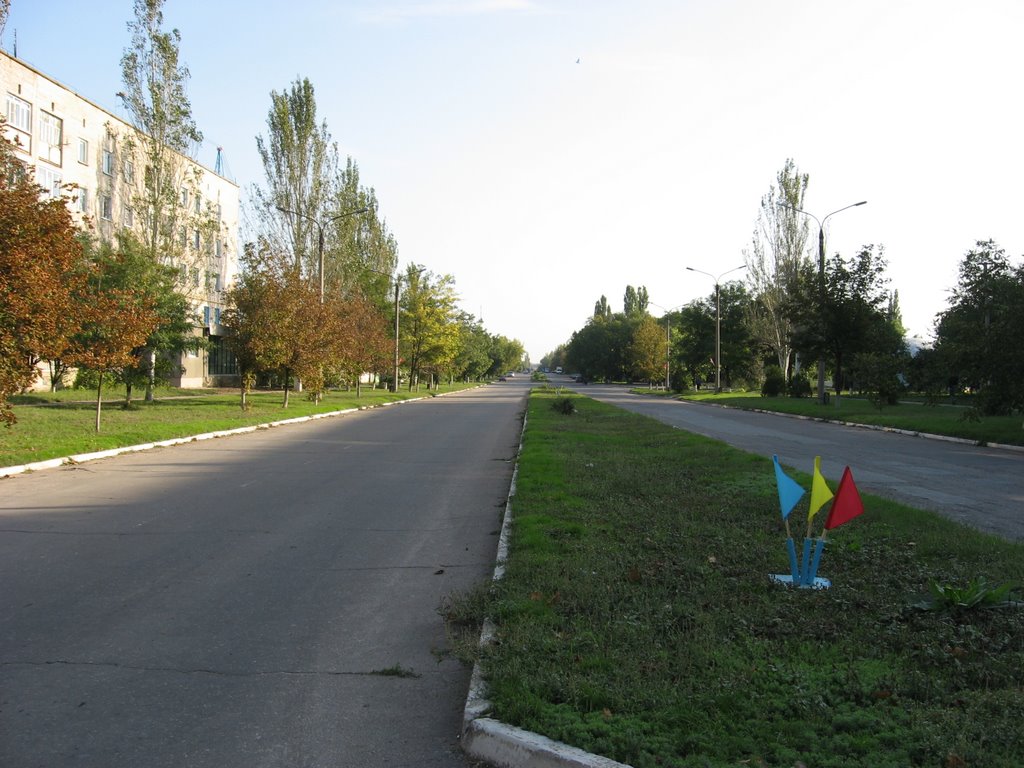 Акимовка, ул. Ленина